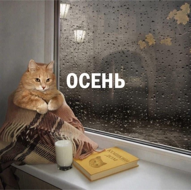 Картинки для деградации 277 (разной степени свежести)