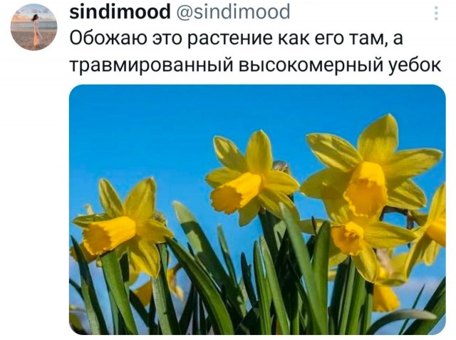 Психомемы-9