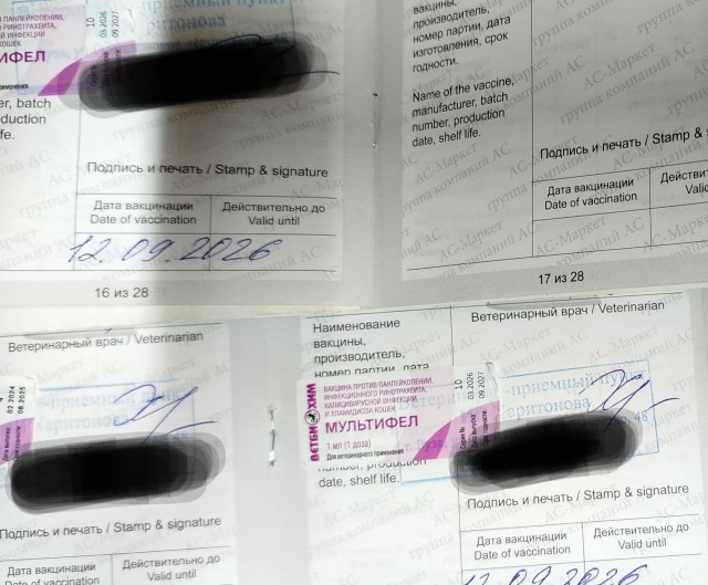 В вакцине для животных "Мультикан-8" обнаружили смертельный  вирус Ауески
