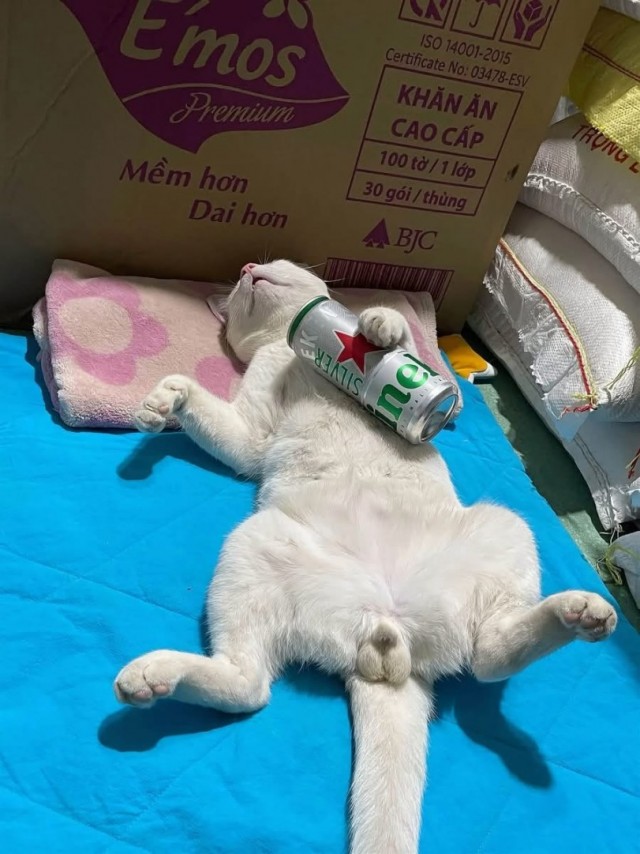Немного мемасиков