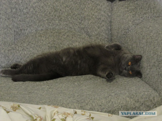 Играть мы больше не будем!