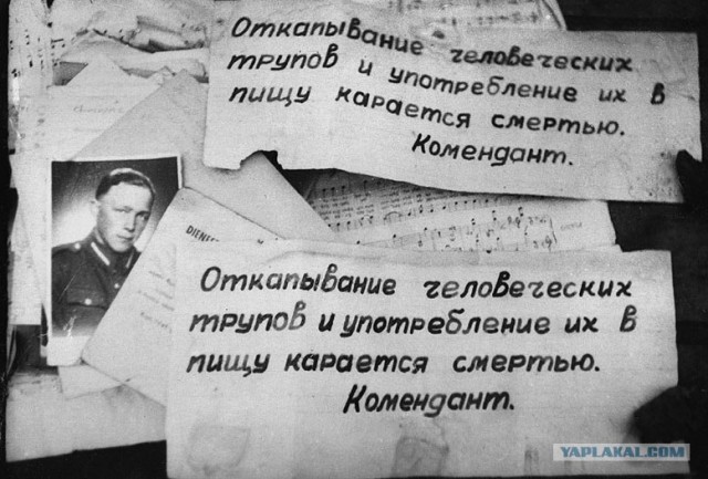Фотографии второй мировой, многие цветные (фото)