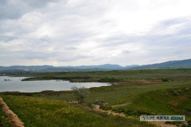 Отдых в Крыму 2014