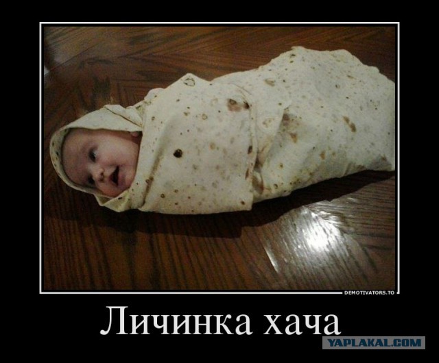 Веселые картинки.