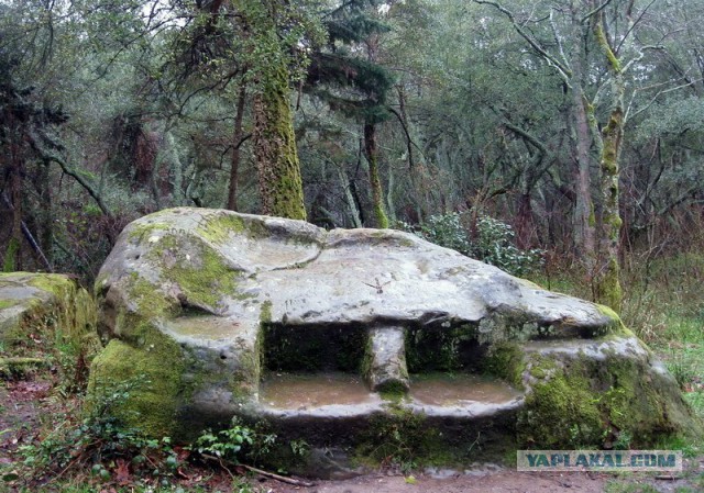 Весь Мир и Вселенная числовая матрица