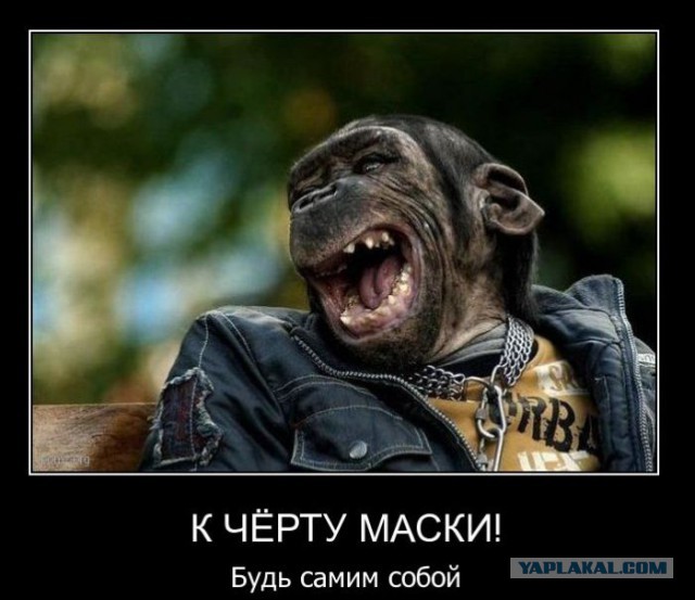 Картинки из интернетов