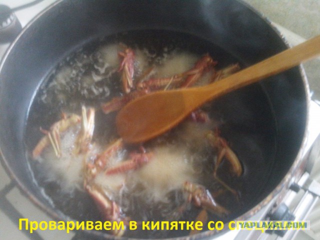 Аццкая кухня 2  (кулинарный адъ)