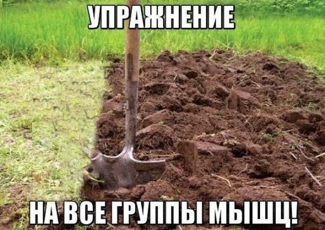 Прикольные картинки