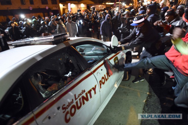 Жители Нью-Йорка вышли поддержать Владимира Путина