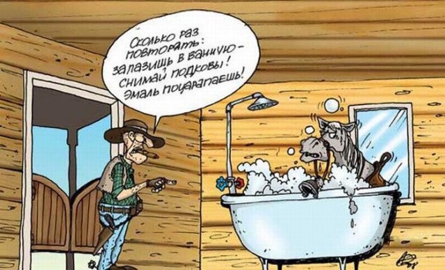 Нападения лошадей