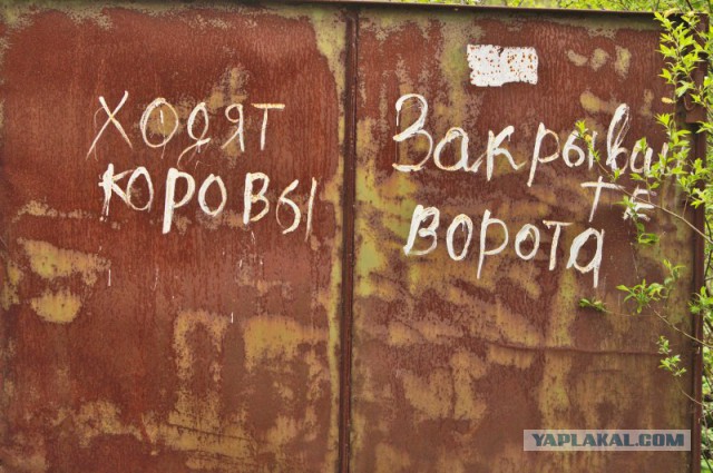 У них действует только одно правило