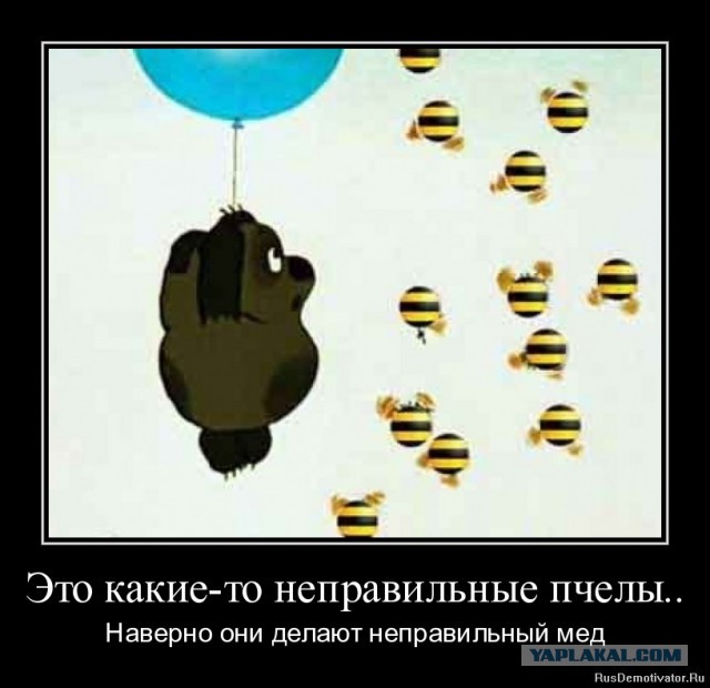 Аквариумные страдания