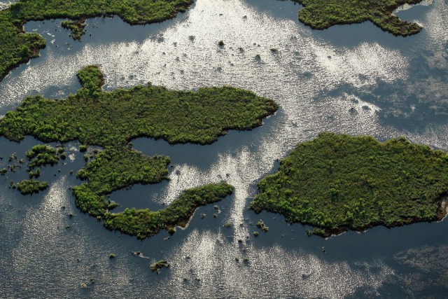 Подборка картинок