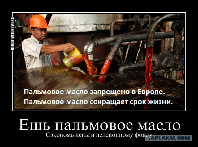 Как изготавливают пальмовое масло