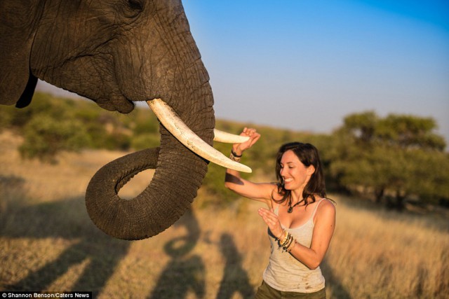 Бесстрашная фотограф из ЮАР, с которой дикие звери становятся ручными