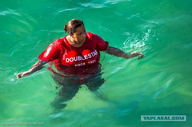 В чем купаются арабки