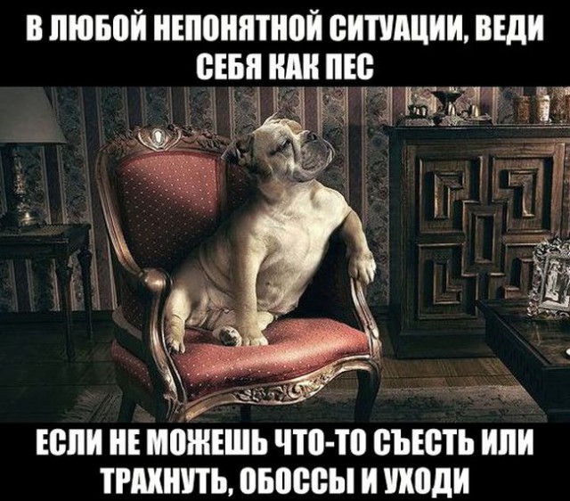 Фотоподборка на пятницу.