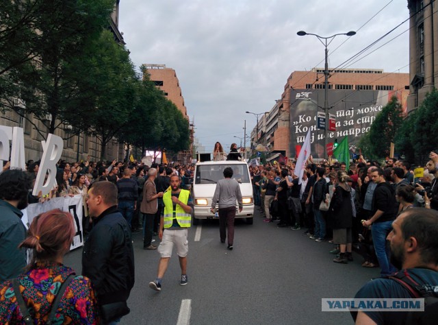 Митинг против правительства в Белграде