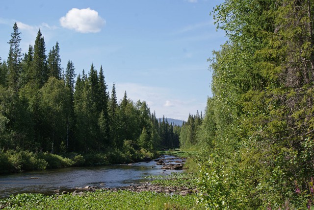 Деревенская Америка - 2