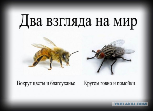 33 фото польского фотографа о 80-х