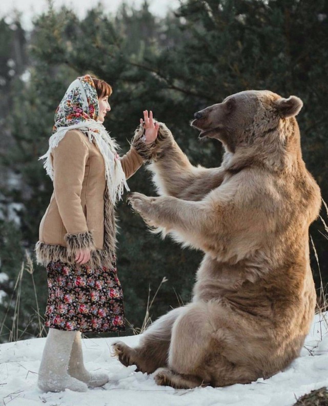 Самые смешные животные