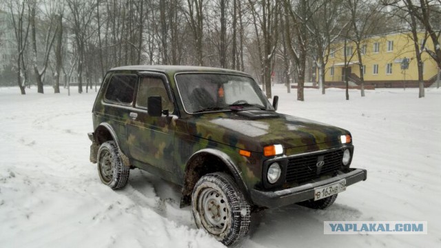 Что такое НИВА