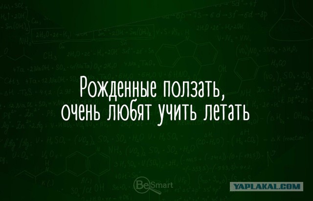 150 картинок для поднятия настроения!