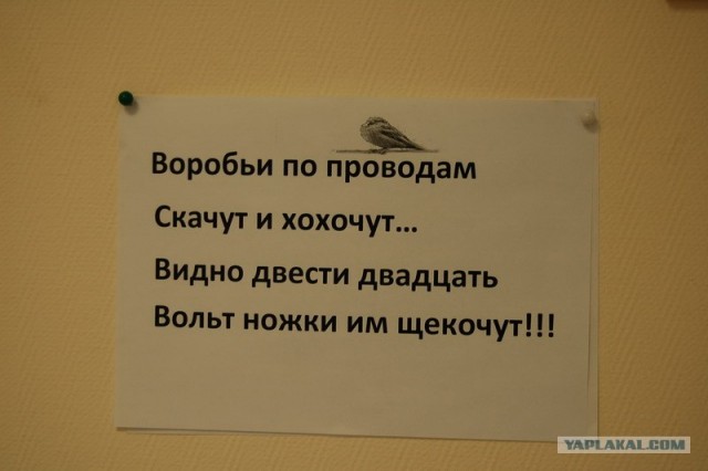 Сфотографируй свои таблички в офисе!