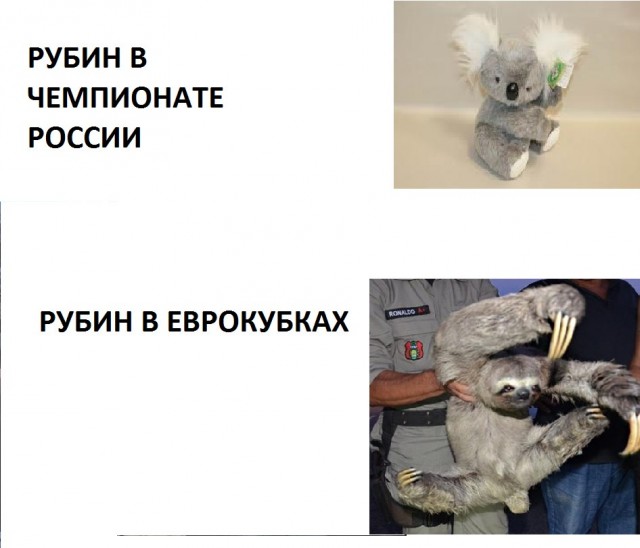 Спорт с улыбкой, интересности в сети