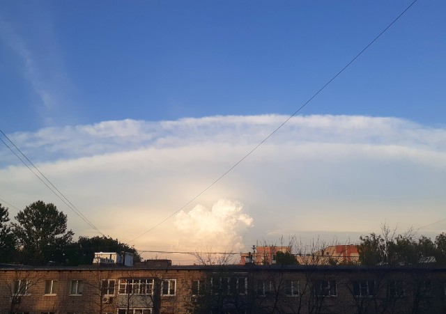 Чуток картинок 08.07.20