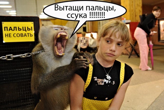 Фотожаба: Не совать!