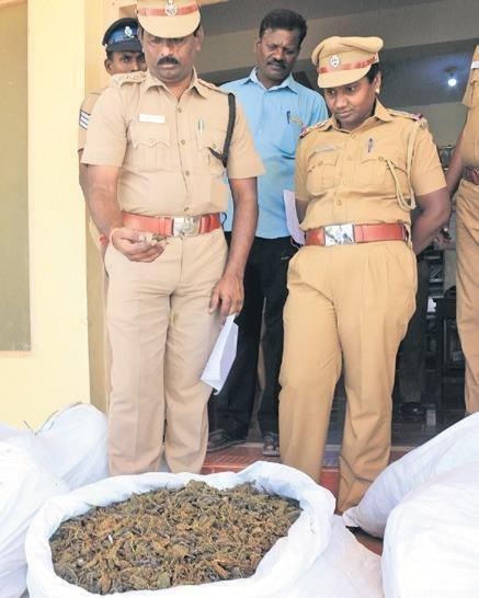 Индийские полицейские конфисковали 160 килограммов каннабиса и... скурили его