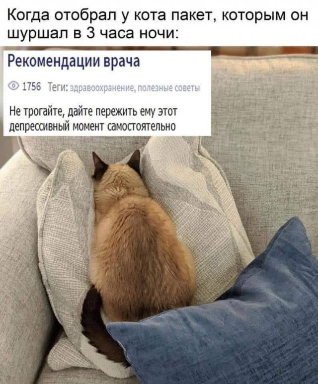 Всяческие картинки 16.06.2021