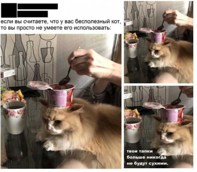 Кретинизмы из сети 18.08.2021