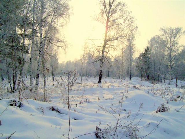 Зима в Сибири