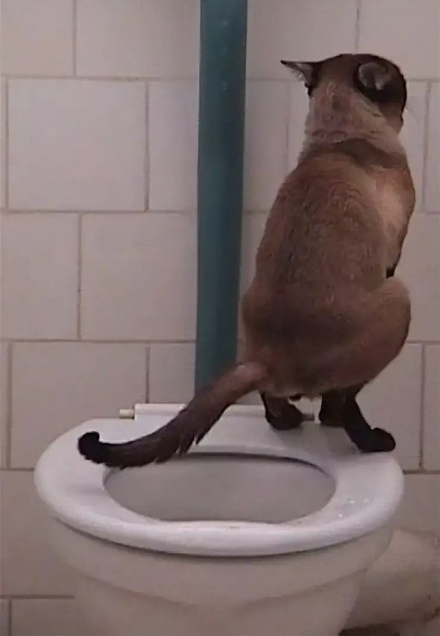 Пандемия. Коронавирус. Россия и мир. Часть 29