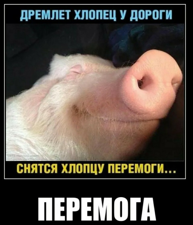 Киевская область