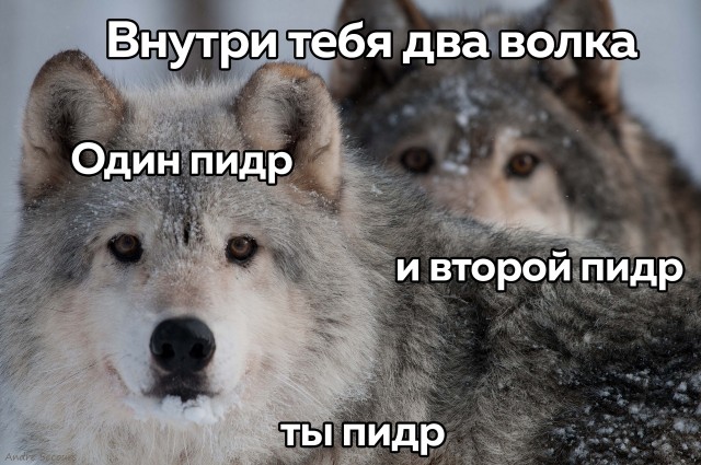 350 лет со дня рождения Петра I