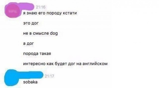 Баянисто-небаянистый юмор 25.07.22