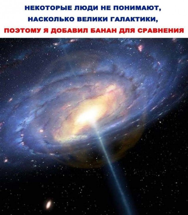 Немного забавных картинок