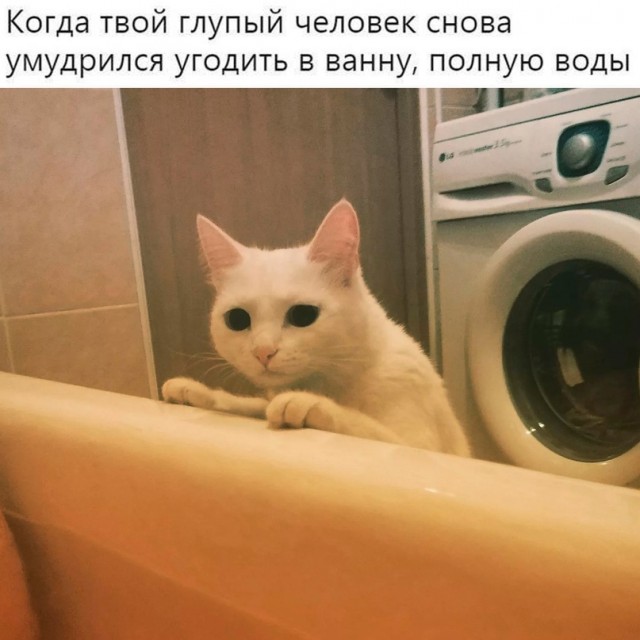 Немного картинок для настроения - 131