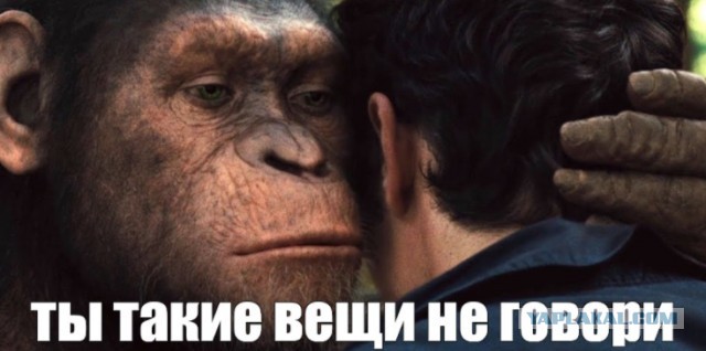75 дней Мариуполя