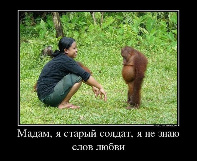50 Пикчев из старых запасов