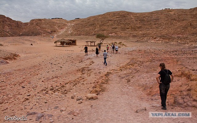 Синайские приключения. Шарм-эш-Шейх и окресности