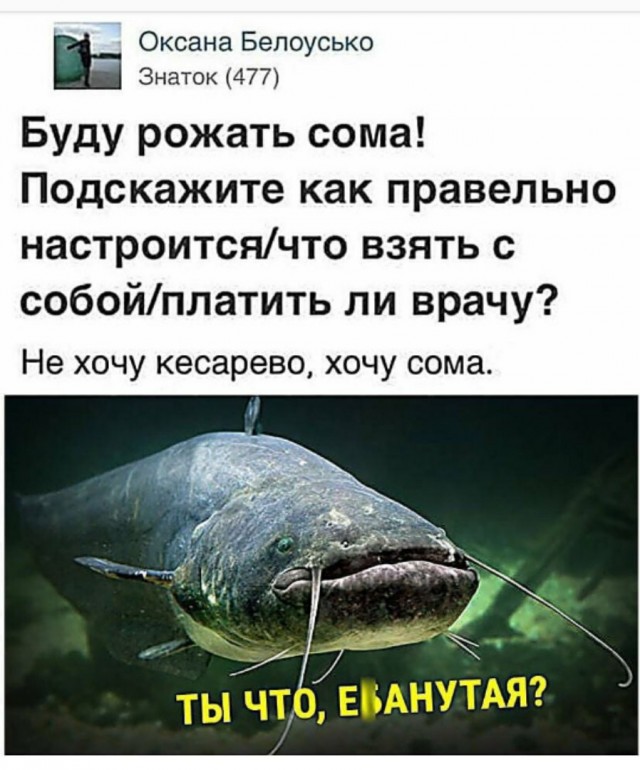 Пятый элимент