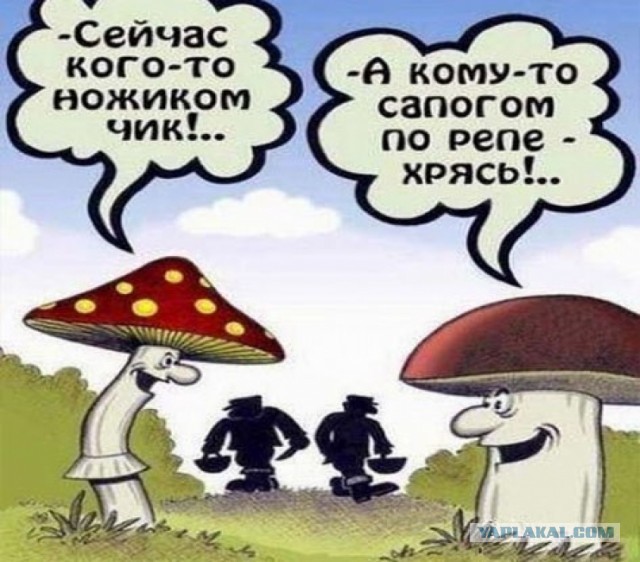 Россиян будут сажать на срок до 9 лет тюрьмы за сбор краснокнижных растений и грибов
