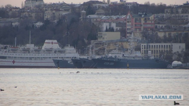 Крым в феврале или "Не стреляйте в белых лебедей!"
