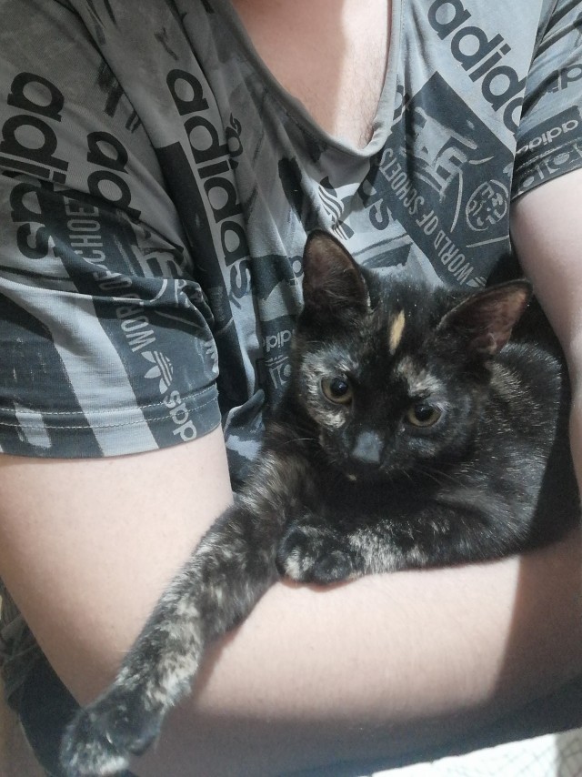 До вторника 3 дня. Не вариант терпеть!