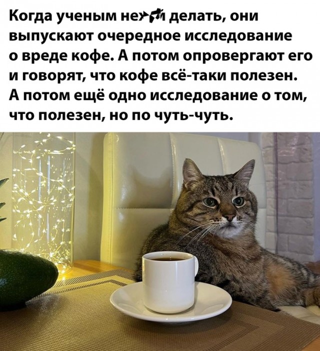 Весёлый полтишок 13.03.24