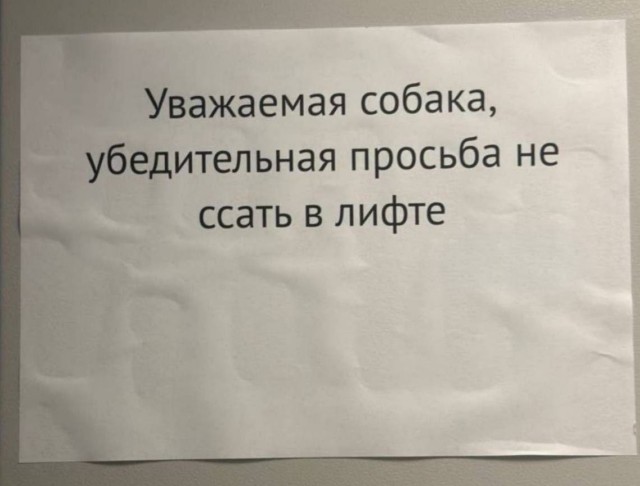 Нуштош 15.05.2024